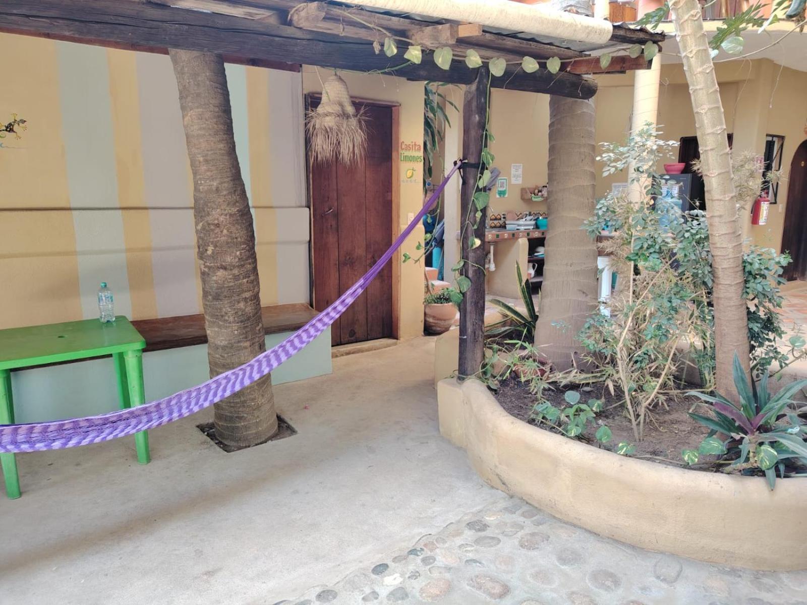 فندق Punta Mar Brisas de Zicatela المظهر الخارجي الصورة